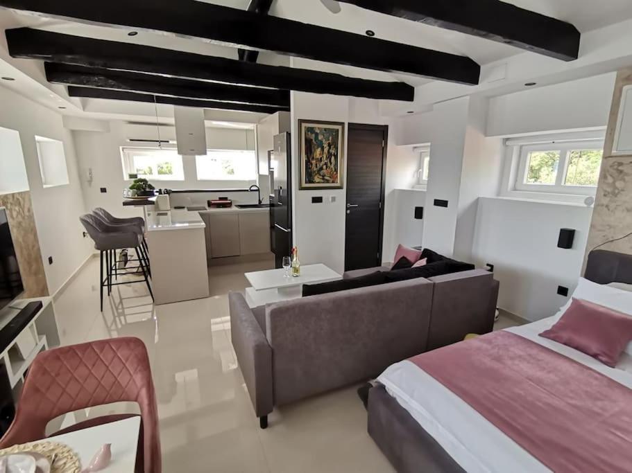 Studio Apartman Lenox Rijeka Extérieur photo